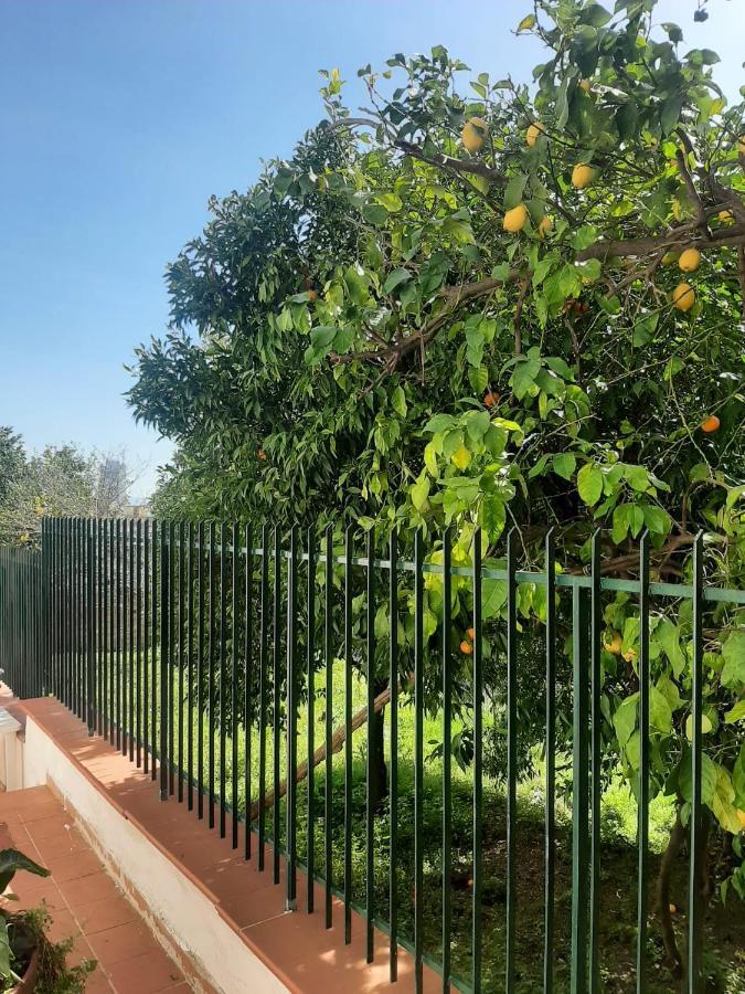 Villa Vesuvius Napoli Eksteriør bilde